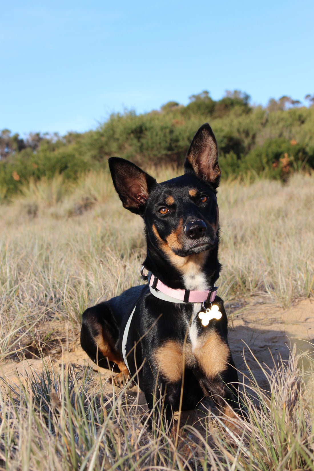 Custom Paint By Numbers Kit * Upload Your Photo