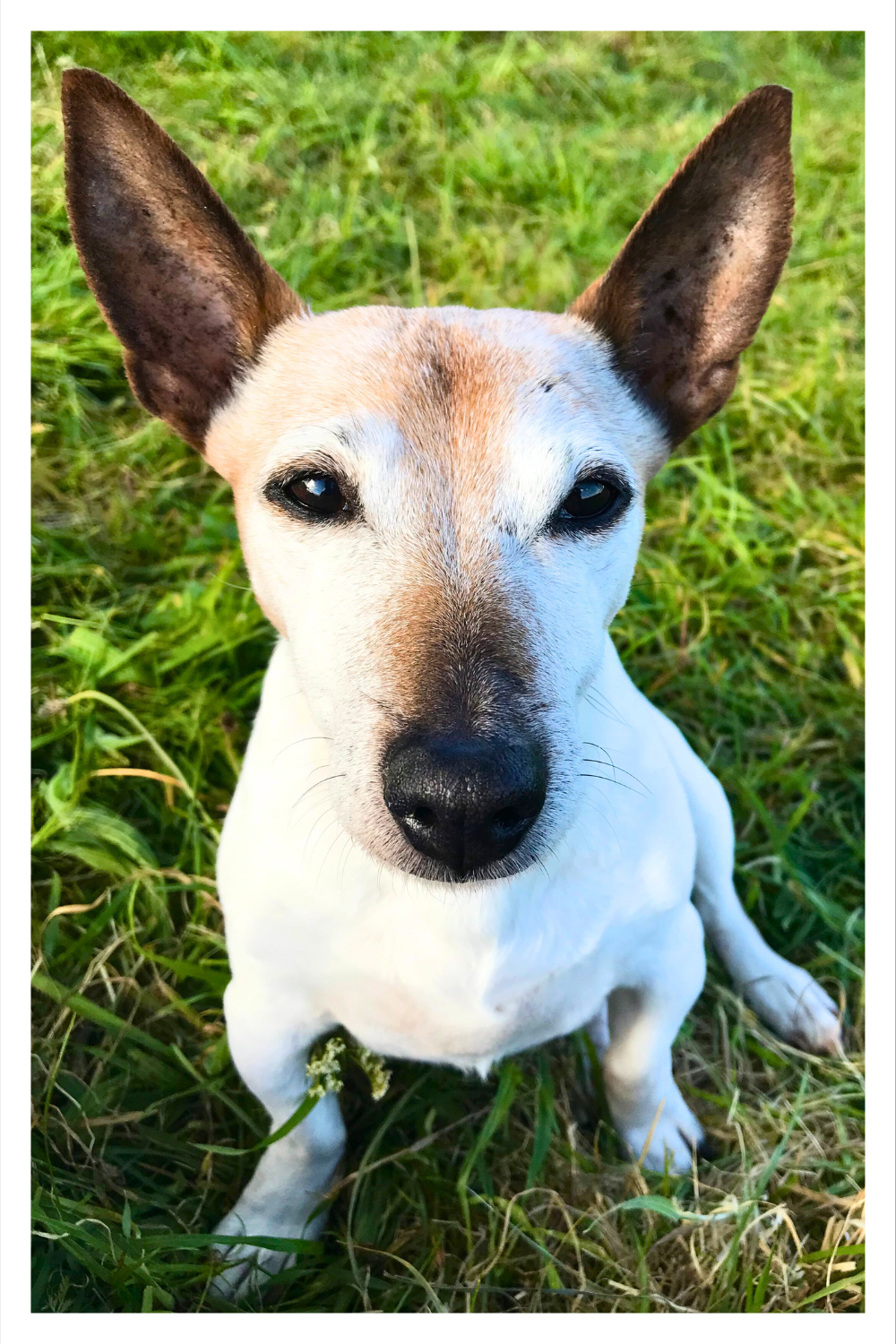 Paint Your Favourite Memory