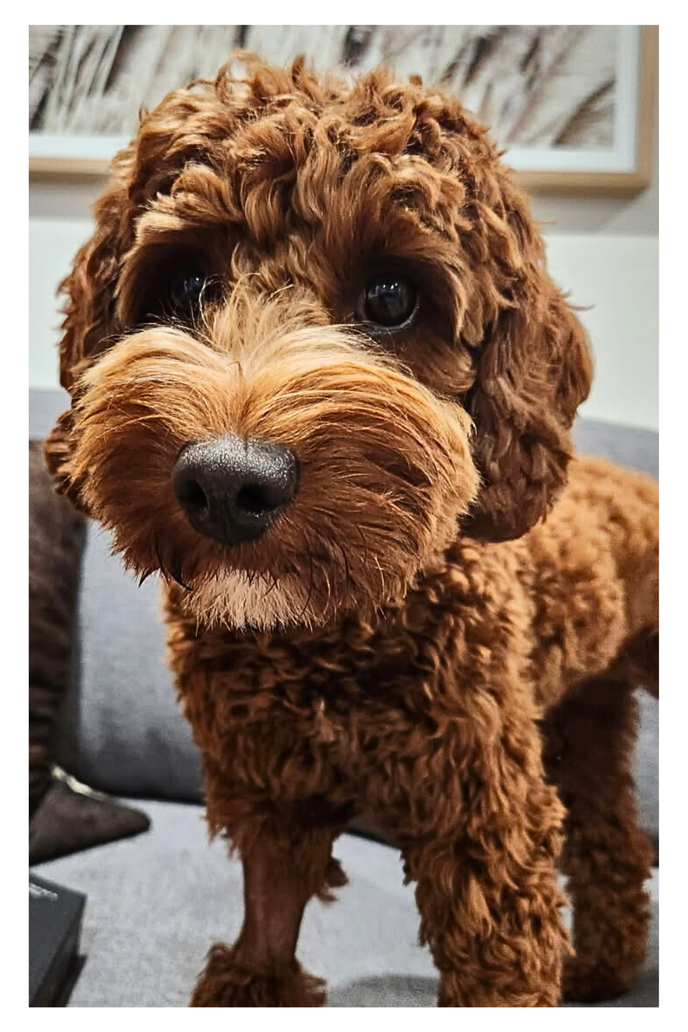 Paint Your Favourite Memory